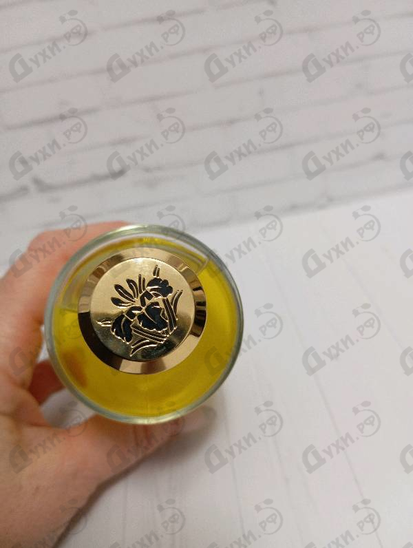 Парфюмерия Fabulous Yuzu от Mancera