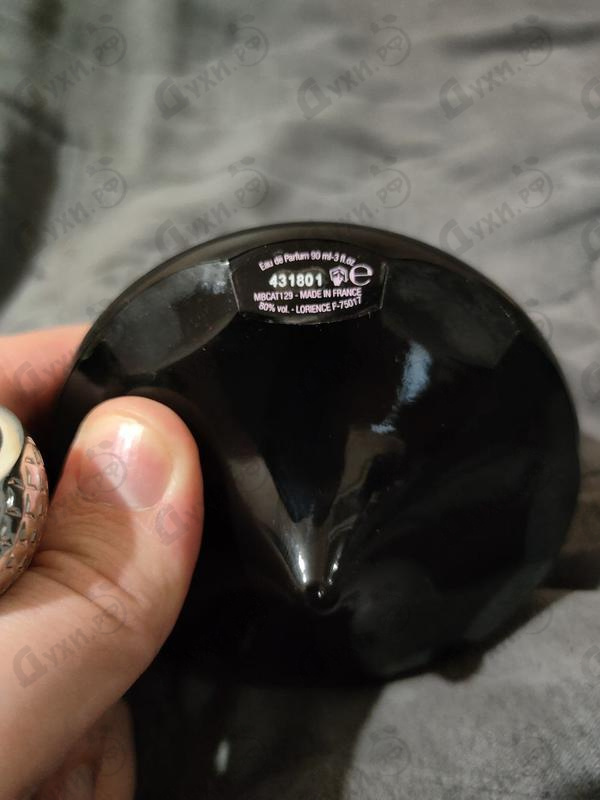 Отзыв Patrik Mauboussin My Twist