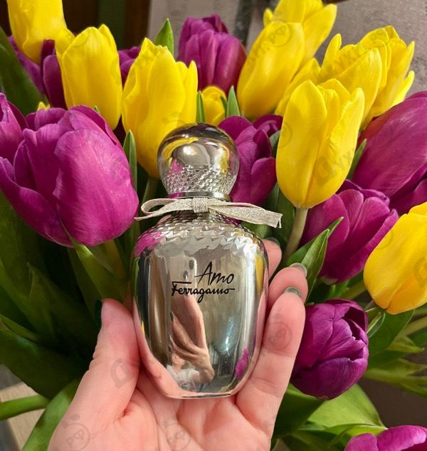 Парфюмерия Salvatore Ferragamo Amo Ferragamo Limited Edition 2018 Духи Amo Ferragamo Limited Edition 2018 от Salvatore Ferragamo