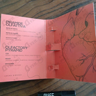 Духи Lorev от Once