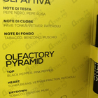 Отзыв Once Braries