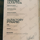 Духи Josy от Once