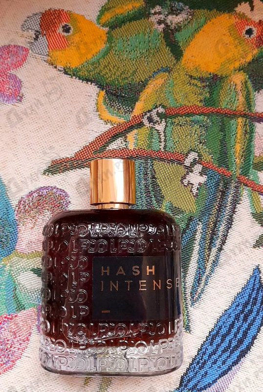 Парфюмерия Hash Intense от Lpdo