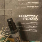 Духи Voyage Secret от Lpdo