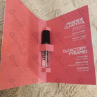 Духи Rose Sensuelle от Lpdo