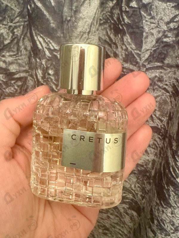 Купить Cretus от Lpdo