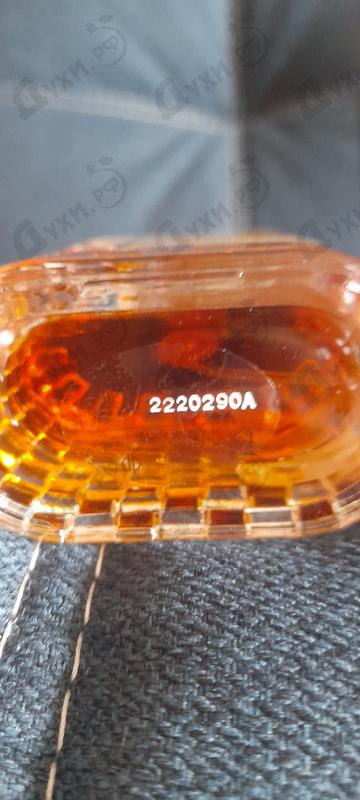 Купить Fleur Noire от Lpdo