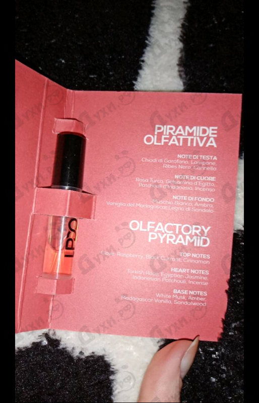 Купить Sexuel от Lpdo