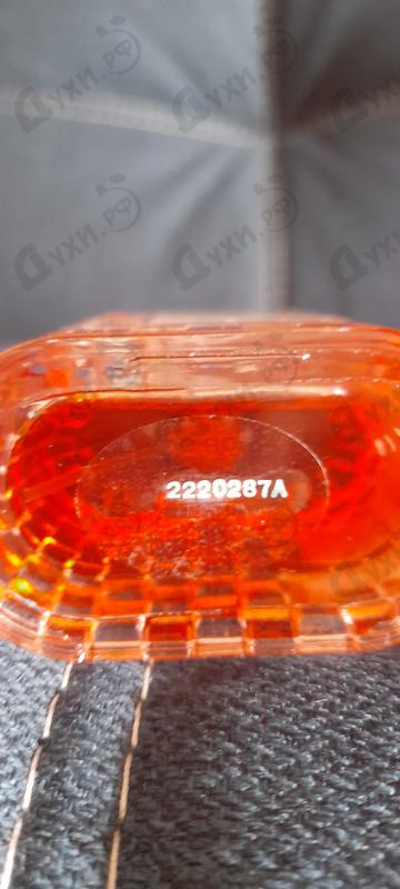 Купить Sexuel от Lpdo