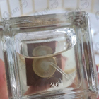 Духи Psyche от Serge Dumonten