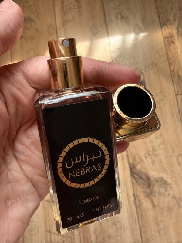 Купить Nebras от Lattafa Perfumes