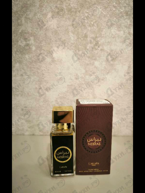 Купить Nebras от Lattafa Perfumes