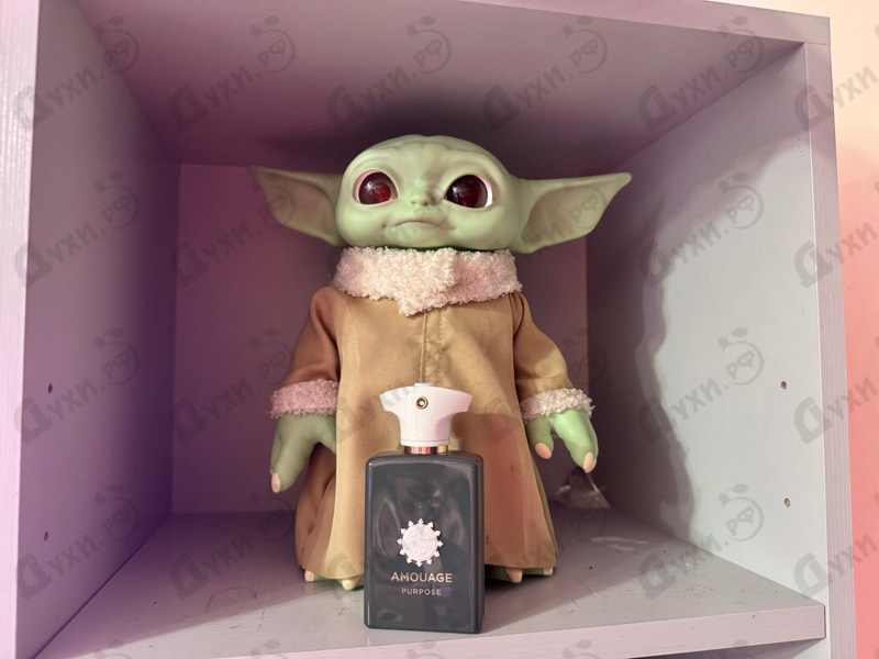 Купить Purpose от Amouage