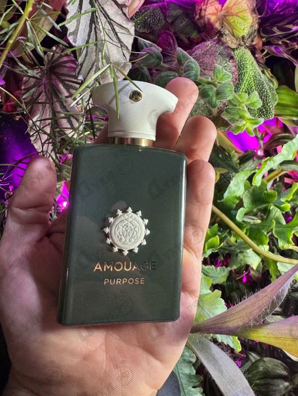 Парфюмерия Purpose от Amouage