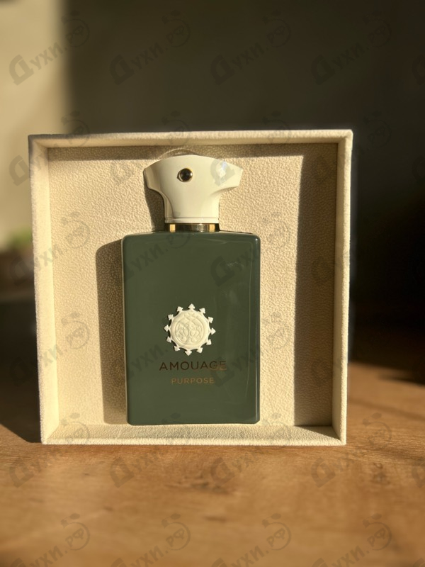 Купить Purpose от Amouage
