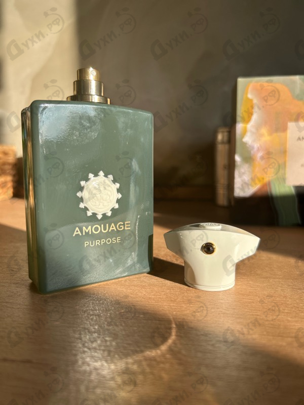 Купить Purpose от Amouage