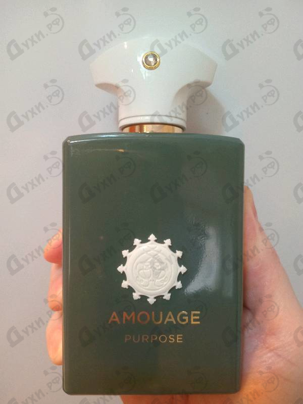 Купить Purpose от Amouage