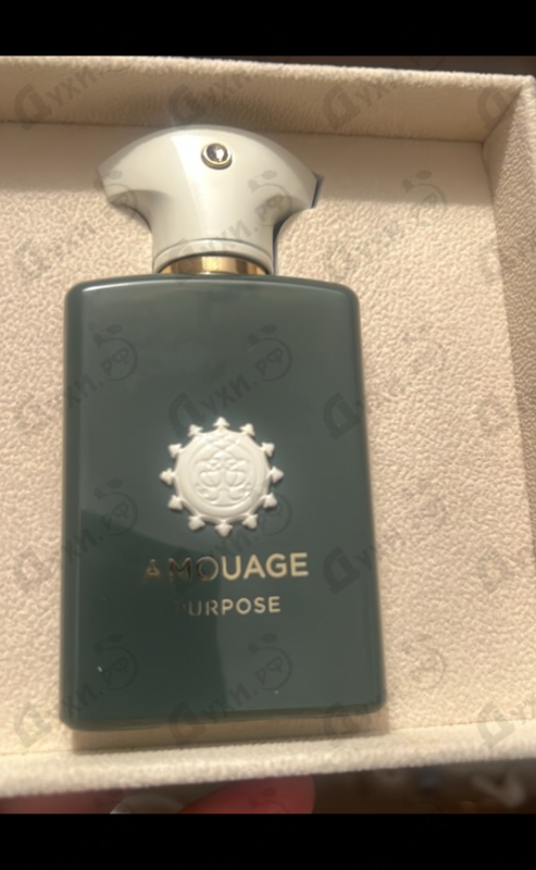 Купить Purpose от Amouage