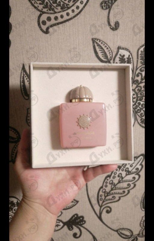 Купить Amouage Guidance