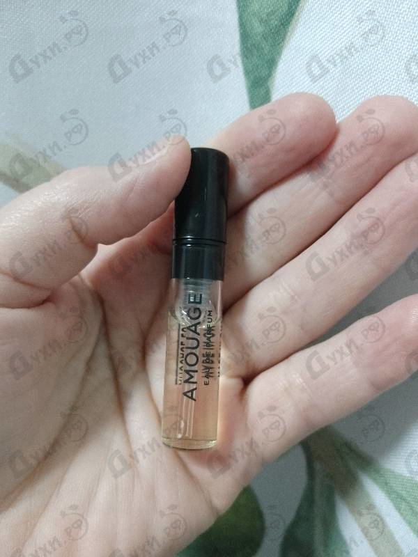 Купить Guidance от Amouage
