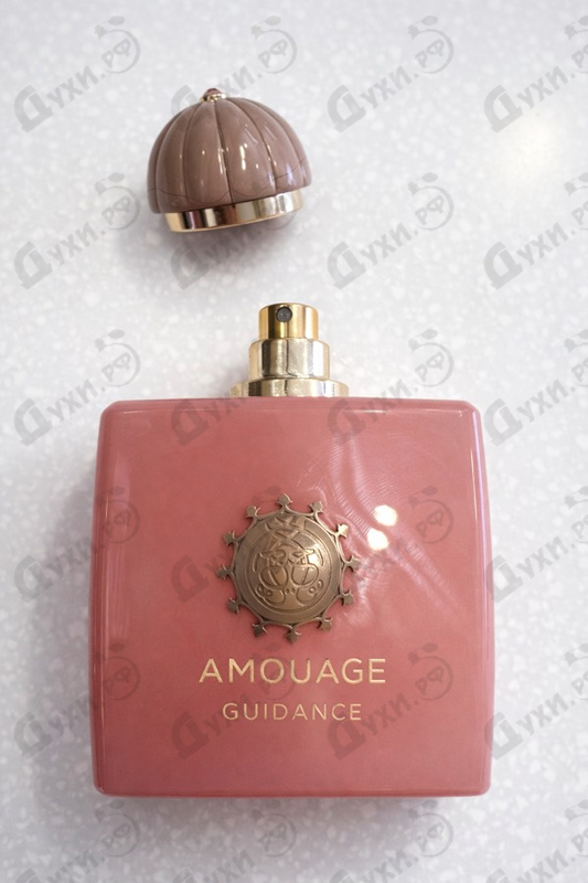 Купить Amouage Guidance