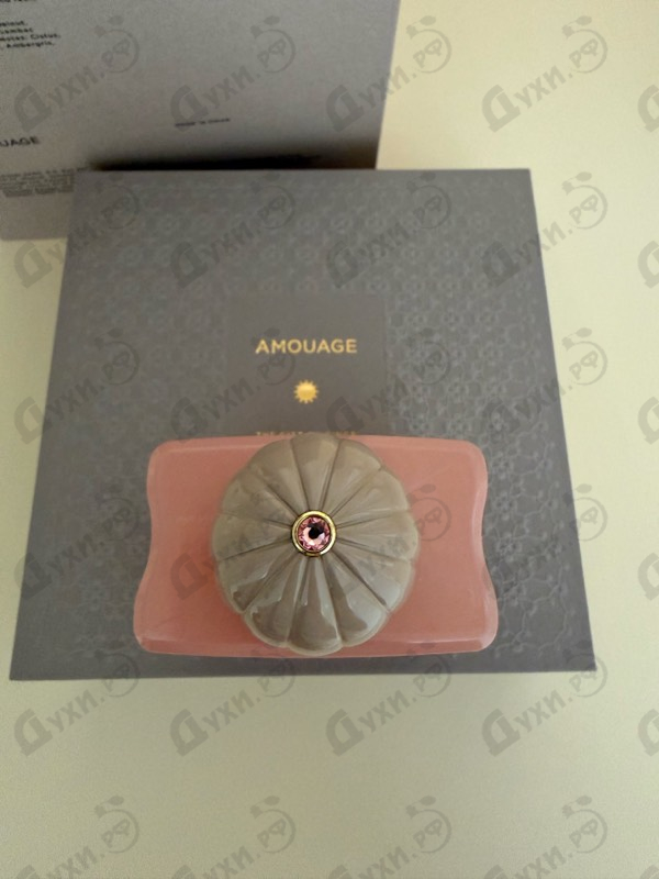 Отзывы Amouage Guidance