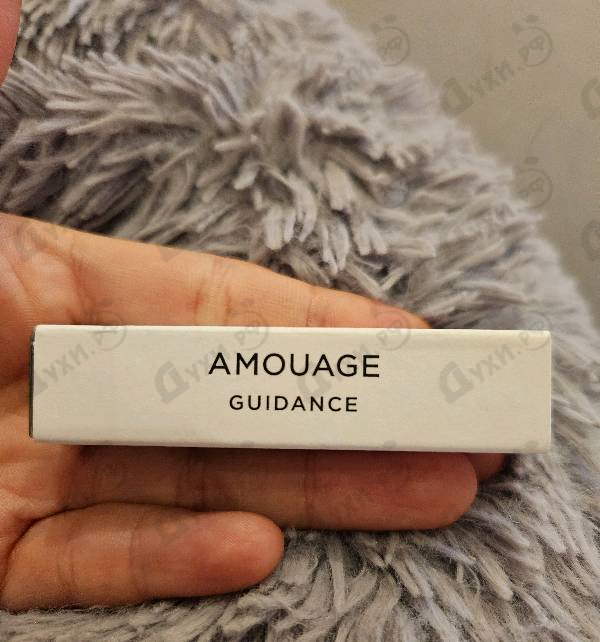 Купить Guidance от Amouage