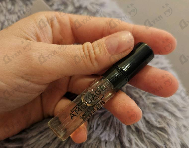 Купить Guidance от Amouage
