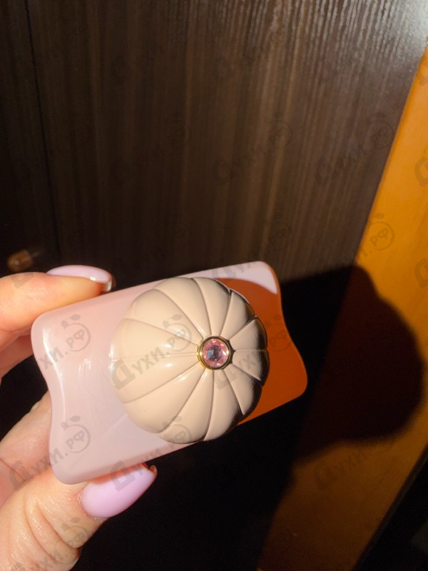 Купить Guidance от Amouage