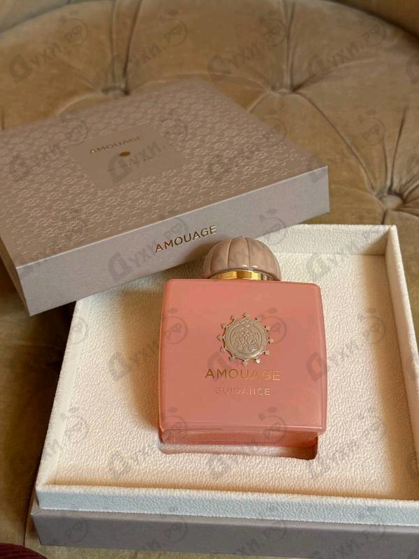 Купить Guidance от Amouage