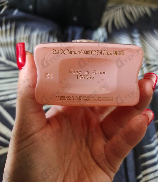 Купить Guidance от Amouage