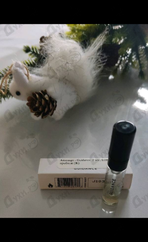 Купить Amouage Guidance