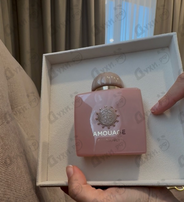 Купить Guidance от Amouage