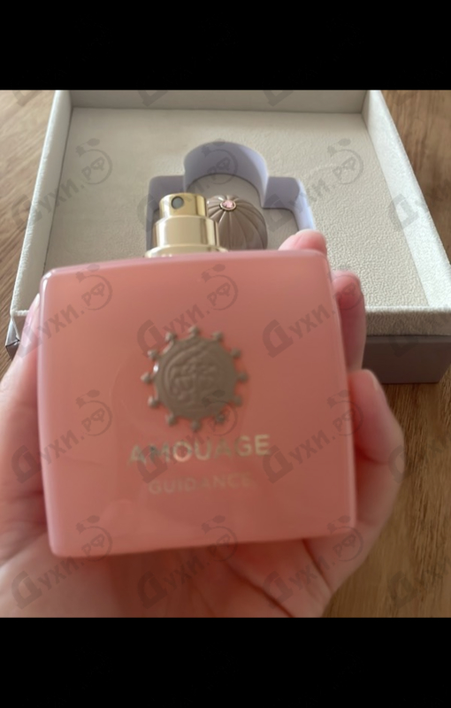 Купить Guidance от Amouage