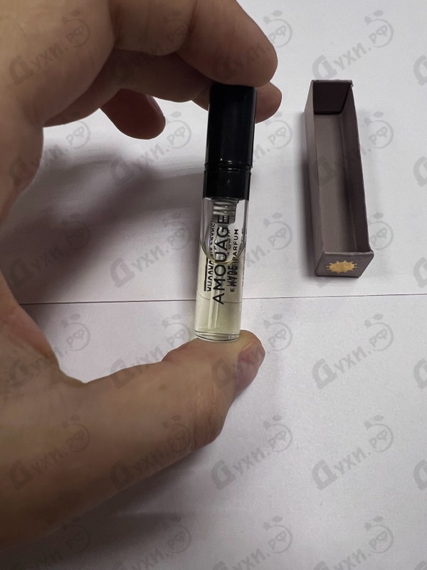 Купить Guidance от Amouage