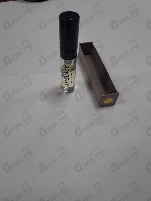 Купить Guidance от Amouage