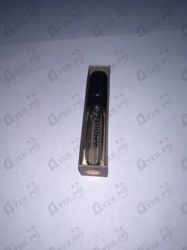 Купить Amouage Guidance