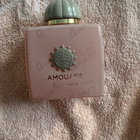Отзывы Amouage Guidance