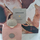 Отзывы Amouage Guidance