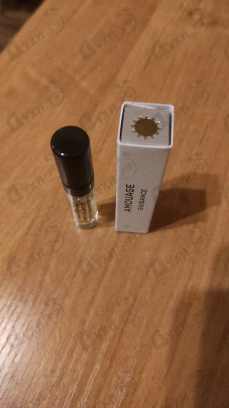 Купить Guidance от Amouage