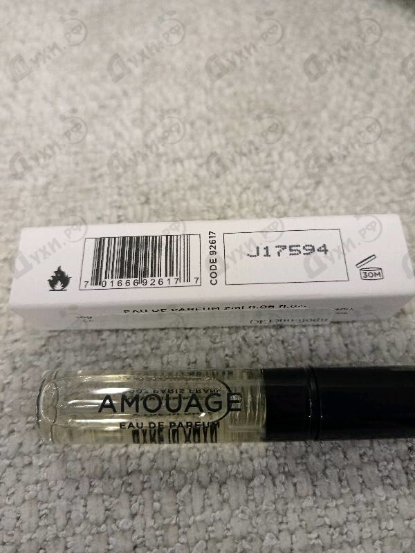 Купить Guidance от Amouage