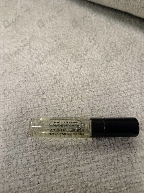 Купить Guidance от Amouage