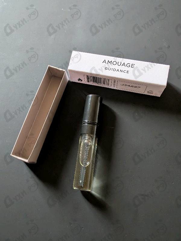 Купить Amouage Guidance