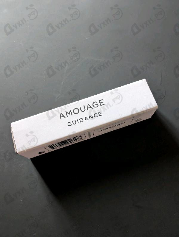 Купить Guidance от Amouage