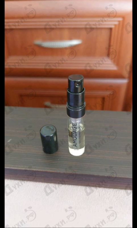 Купить Guidance от Amouage