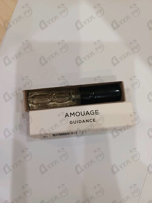 Купить Guidance от Amouage