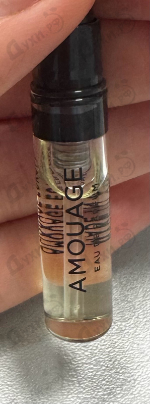 Парфюмерия Guidance от Amouage