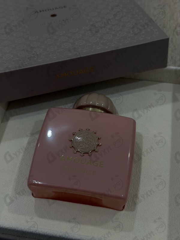 Духи Guidance от Amouage