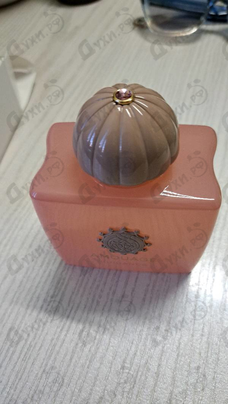 Купить Guidance от Amouage