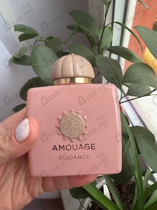 Купить Guidance от Amouage